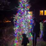 Marysia Szymkowiak and her son, Tadzio Lesh, 20 months, investigate the tree at the annual Douglas Christmas Tree lighting at the Douglas Community United Methodist Church on Friday, Nov. 23, 2018. (Michael Penn | Juneau Empire)
