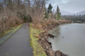 The Kaxdegoowu Heen Dei (Brotherhood Bridge) Trail is close to being eroded away by the Mendenhall River on Monday, Nov. 26, 2018. (Michael Penn | Juneau Empire)