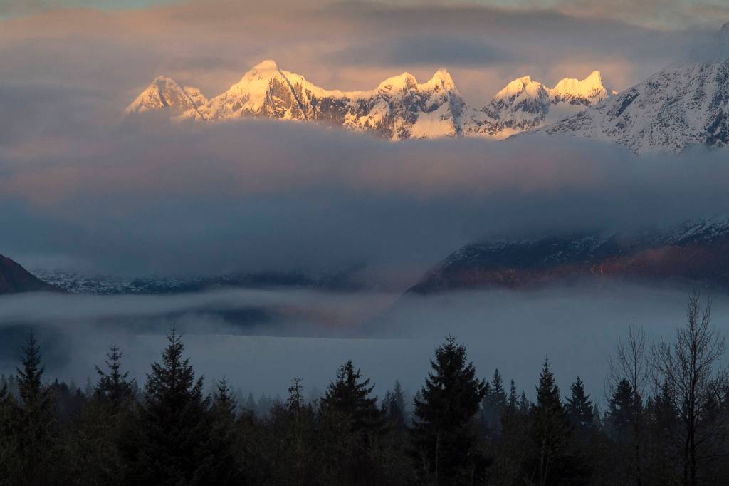 Photos: Best photos of the Week