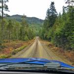 Listening to forest sounds in Wrangell. (Courtesy Photo | Vivian Faith Prescott)