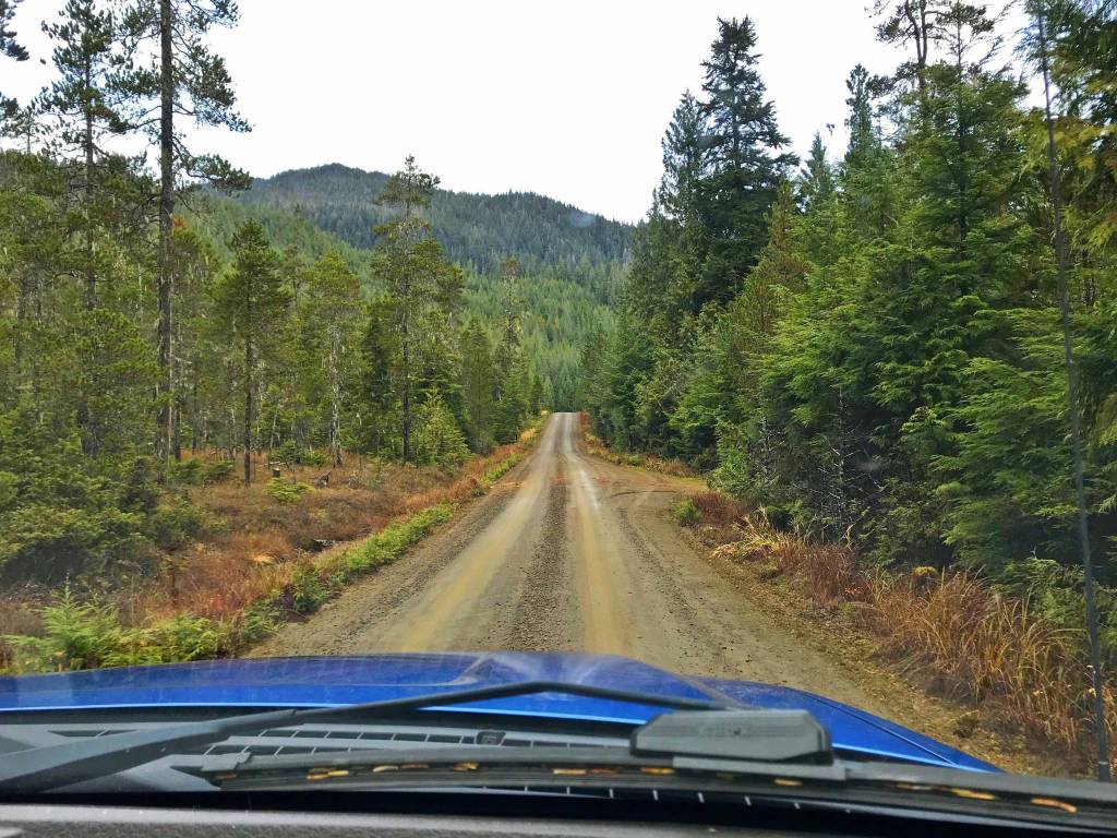 Listening to forest sounds in Wrangell. (Courtesy Photo | Vivian Faith Prescott)