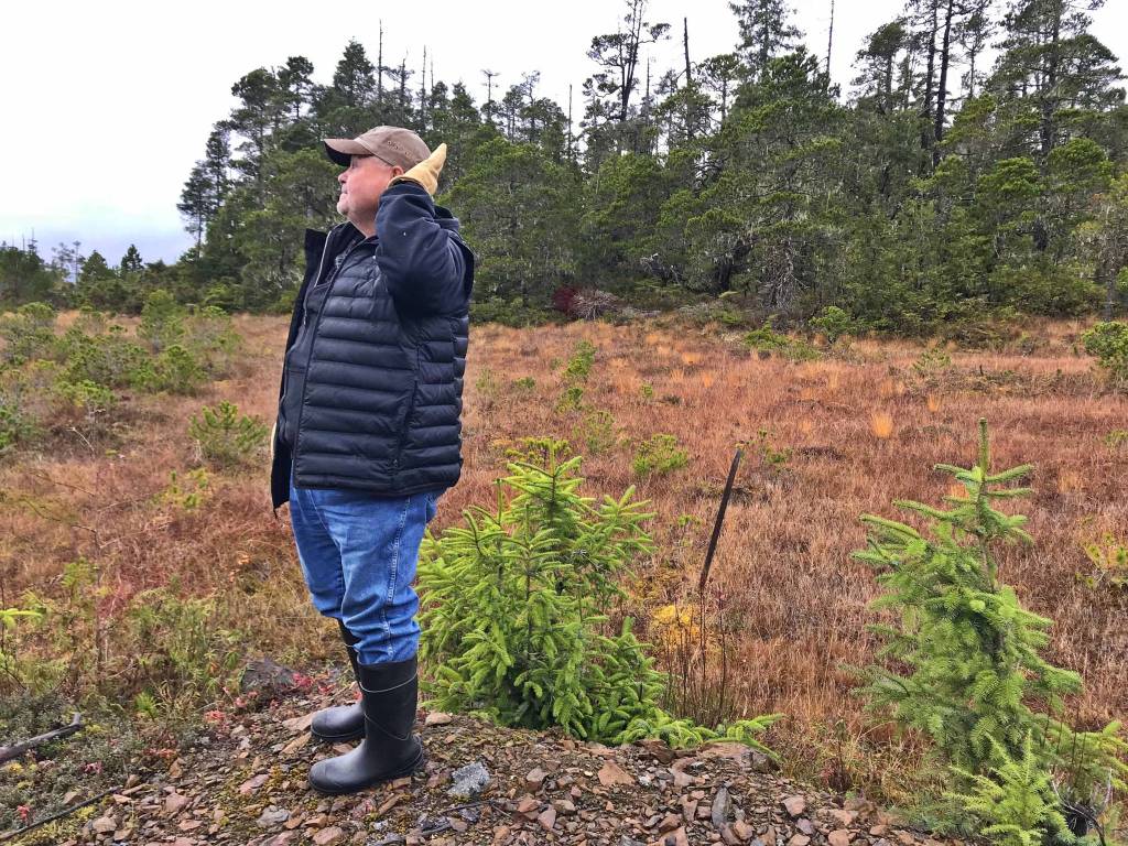 Mickey Prescott listens to the forest for the first time in decades. (Courtesy Photo | Vivian Faith Prescott)