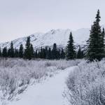 The trail back to the road from Feilding Lake. I believe these are the Hoodoo Mountains. (Gabe Donohoe | For the Juneau Empire)