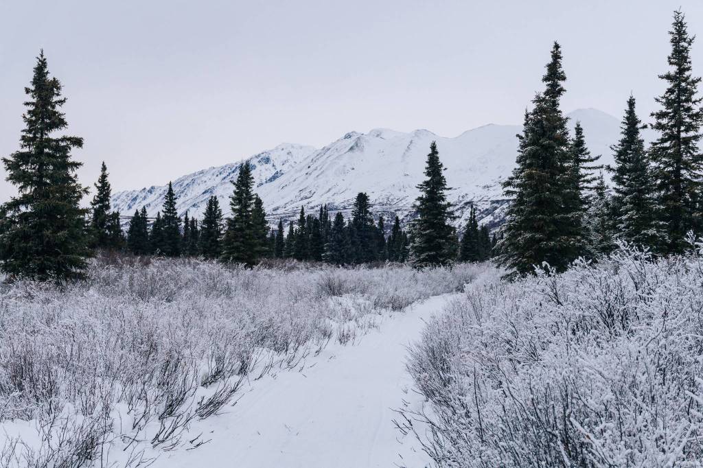 The trail back to the road from Feilding Lake. I believe these are the Hoodoo Mountains. (Gabe Donohoe | For the Juneau Empire)