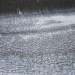 Yukon River moose meet an Alaska winter hunting adventure