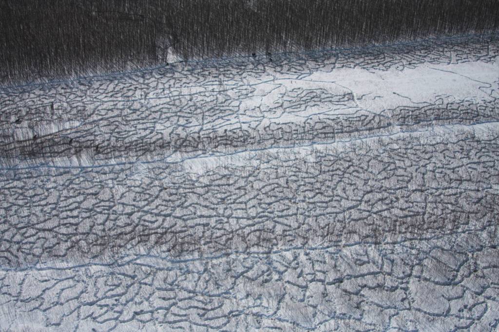 Yukon River moose meet an Alaska winter hunting adventure