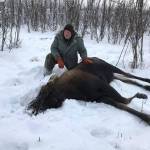 (Courtesy photo | Patrick Jones for Alaska Department of Fish and Game)