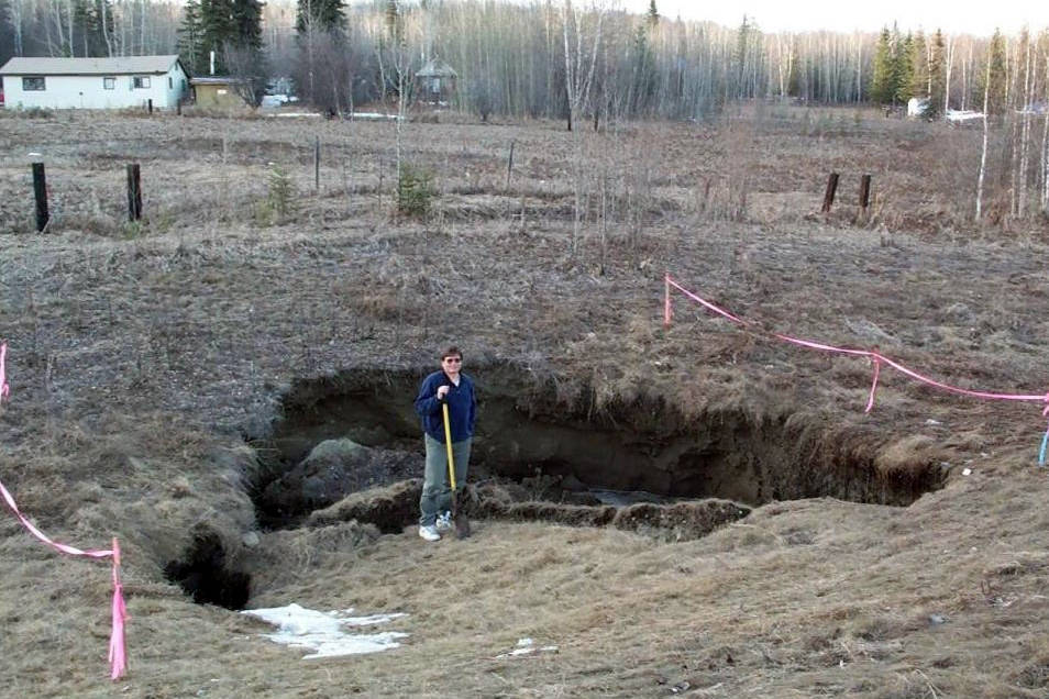 University of Alaska Fairbanks researcher Vladimir Romanovsky poses near Fairbanks in a place where permafrost has thawed, causing a surface disruption. (Courtesy Photo | University of Alaska Fairbanks)