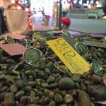 Rings using the skin of salmon and other wild Alaska fish created by Juneau artist Julienne Pacheco are on display at Juneaus Public Market in November of 2017. (Mary Catharine Martin | SalmonState)