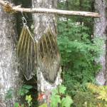 Earrings made from the fins of arctic grayling hang from a branch. (Courtesy Photo | Julienne Pacheco)