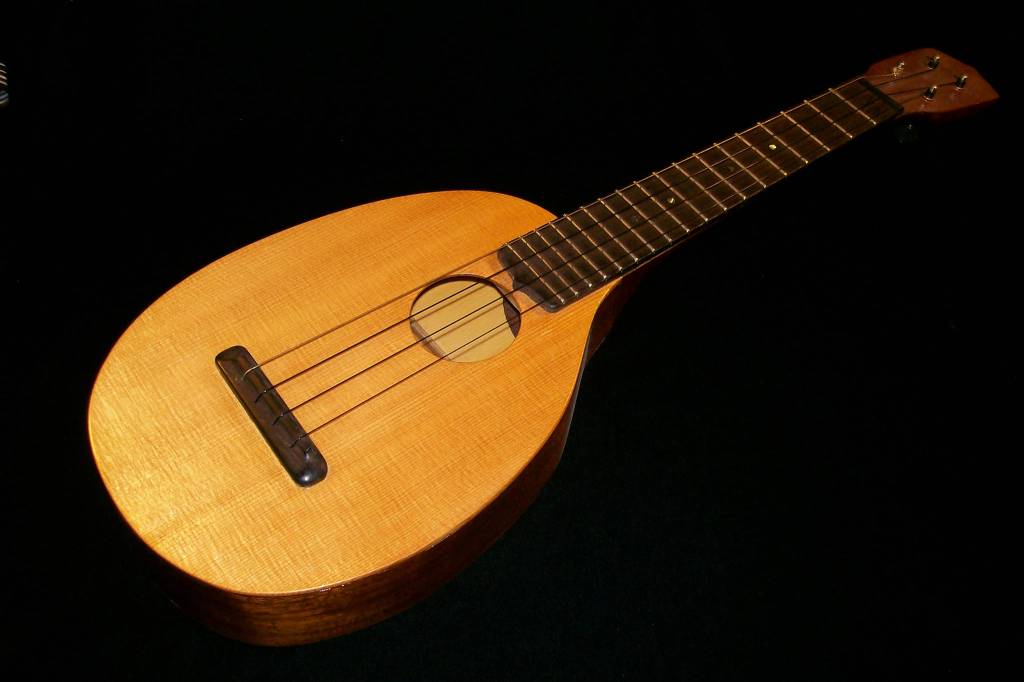 Mark Vinsel has a design patent for this pineapple ukulele. Vinsel said he was inspired to make the instrument by the good wood in Southeast Alaska. (Courtesy Photo | Mark Vinsel)