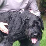 Opinion: Elliot comes home