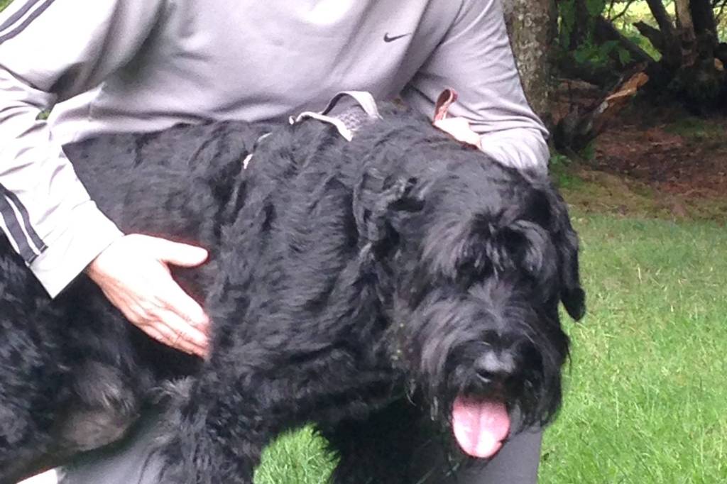 Opinion: Elliot comes home