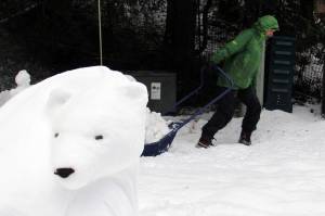 Art teacher sculpts giant polar bears