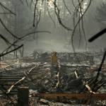 In this Nov. 16, 2018 photo, a firefighter searches for human remains in a trailer park destroyed in the Camp Fire, in Paradise, California. The massive wildfire that killed dozens of people and destroyed thousands of homes has been fully contained after burning for more than two weeks, authorities said Sunday, Nov. 25. (John Locher | Associated Press File)