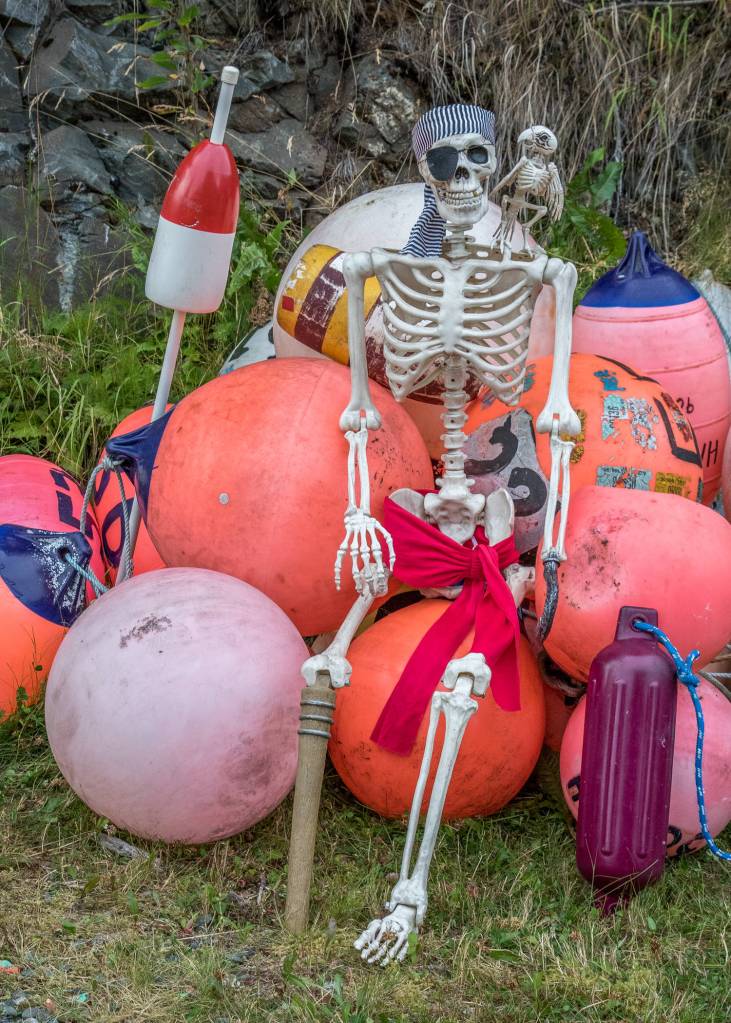 Oct. 28, 2018: Wilson the skeleton knows that it is important to dress up for the holidays, but he believes in a minimalist approach to fashion. For his Halloween costume this year, he chose a black-and-white striped bandana, coordinated black eye patch and around his waist, a colorful red sash. Other than his peg leg and hand hook, the only accessory he needs is his parrot riding on his shoulder. Happy Halloween!