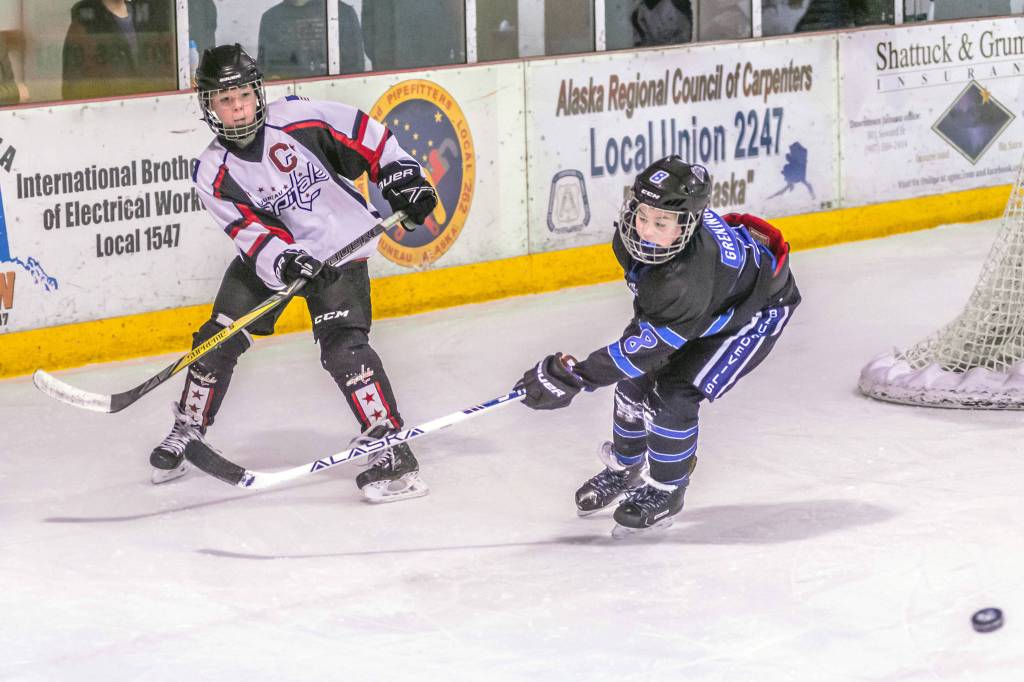 Juneaus Stein Dostal clears the puck with Eagle Rivers Morgan Greninger during a weekend game at Treadwell Arena. (Courtesy Photo | Steve Quinn)