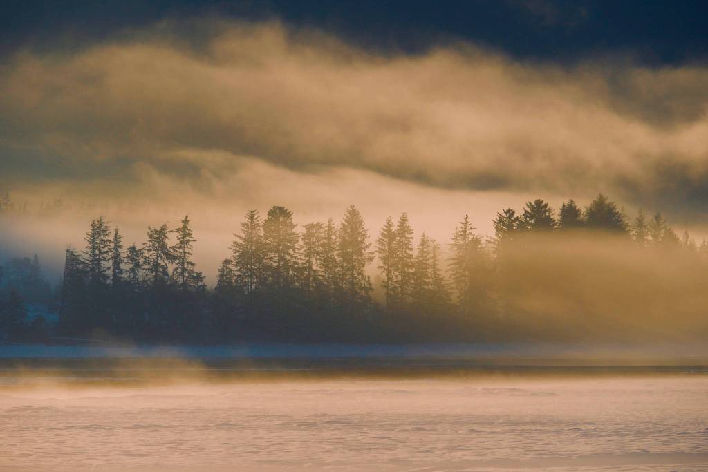 Fog drapes across the Mendenhall Wetlands. (Courtesy Photo | Janine Reep)