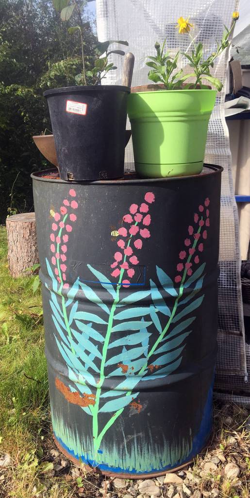 Fireweed painted on a barrel on Cranberry Ridge in Fairbanks on Aug. 22, 2018. (Courtesy Photo | Denise Carroll)