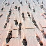 Many people pattern the downtown seawalk with their footprints. (Courtesy Photo | Denise Carroll)