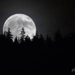 Art in Unusual Places