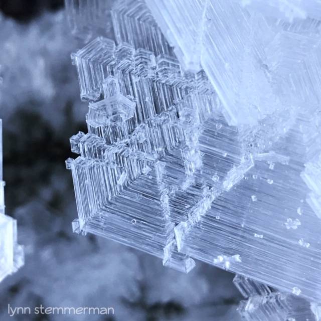 Old Man Winters Masterpiece (Courtesy photo | Barbara Lynn Stemmerman)