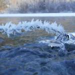 Hoarfrost on the Herbert. Submitted Jan. 12, 2019. (Courtesy Photo | Mary Sutkowski)