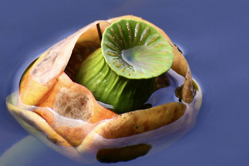 Art in Unusual Places