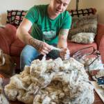 Chilkat weaver Ricky Tagaban pull guard hairs from raw mountain goat fur at his apartment in Juneau on Monday, Sept. 10, 2018. Tagaban earned a Rasmuson Foundation Project Award in 2018, and the funds allowed him to spin 1,000 yards of wool over the course of the year. He is also pursuing studio space. (Michael Penn | Juneau Empire File)