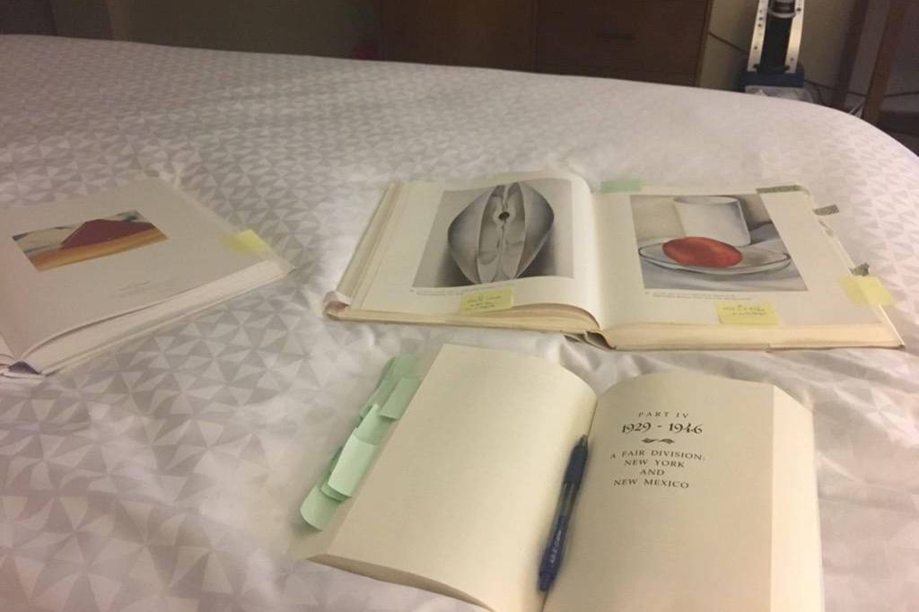 Emily Wall was able to procure a weekend residency and thousands of dollars of books thanks to her 2018 Rasmuson Fund Project Award. The award came with $7,500, which Wall said has greatly helped progress on a Georgia OKeefe-inspired collection of poetry. (Courtesy Photo | Emily Wall)