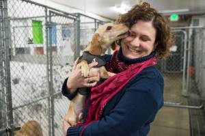 Executive Director Samantha Blankenship gets a kiss from Willie, a Dachshund puppy, at the Gastineau Humane Society on Friday, Dec. 28, 2018. The society is starting the new year with a name change to Juneau Animal Rescue. (Michael Penn | Juneau Empire)
