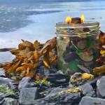 Planet Alaska: 10 things I learned at fishcamp