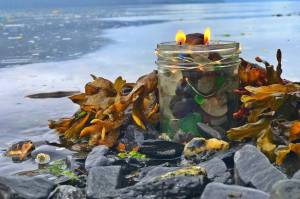 Planet Alaska: 10 things I learned at fishcamp