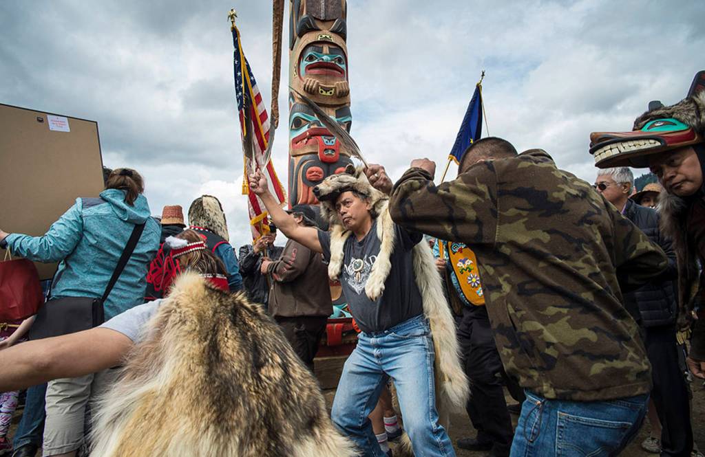 Members of the Yanyeidi clan dance around the Yanyeidi Wolf totem pole after its raising at Savikko Park on Wednesday, June 6, 2018. (Michael Penn | Juneau Empire)