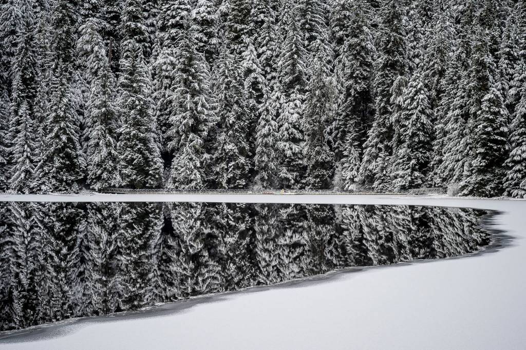 Snow-coated trees are reflected in the open waters of Auke Lake on Friday, Dec. 21, 2018. The National Weather Service forecasts colder weather through Christmas with little to no snow accumulation. (Michael Penn | Juneau Empire)