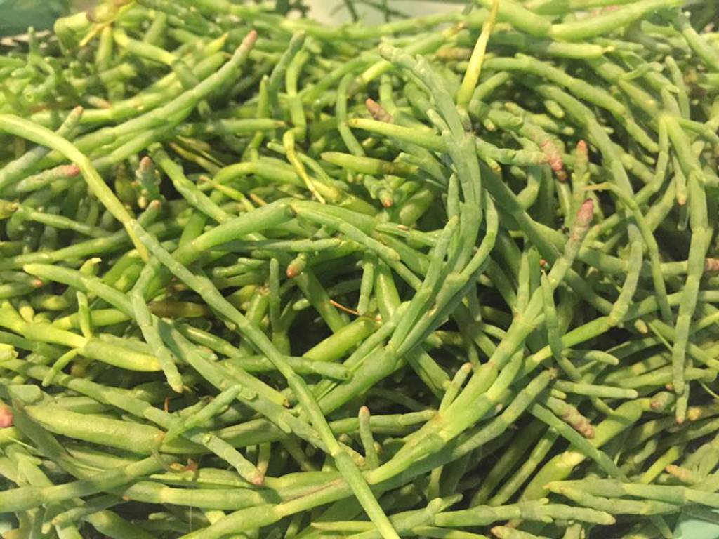 Beach asparagus. (Courtesy Photo | Vivian Mork)