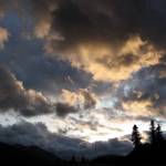 The year without summer