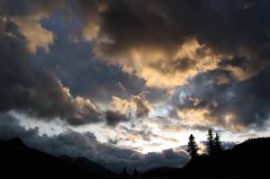 The year without summer