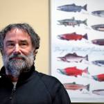 Salmon researcher Greg Ruggerone, one of a group of scientists who noticed a startling trend about the deaths of endangered southern resident orca whales, stands with a chart showing various salmon species his office Friday, Jan. 18, 2019, in Seattle. (Elaine Thompson | Associated Press)