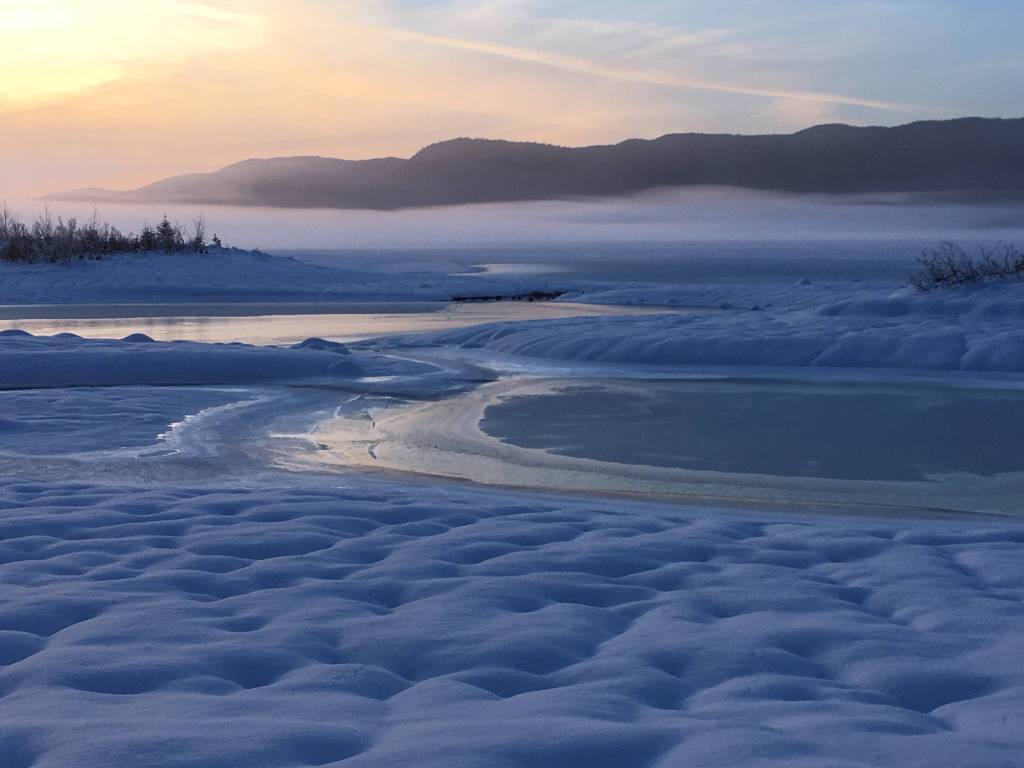 Afternoon light. (Courtesy Photo | Deborah Rudis)