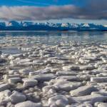 Intertidal ice and Chilkats with fresh snow at Eagle Beach. (Courtesy Photo | Kerry Howard)