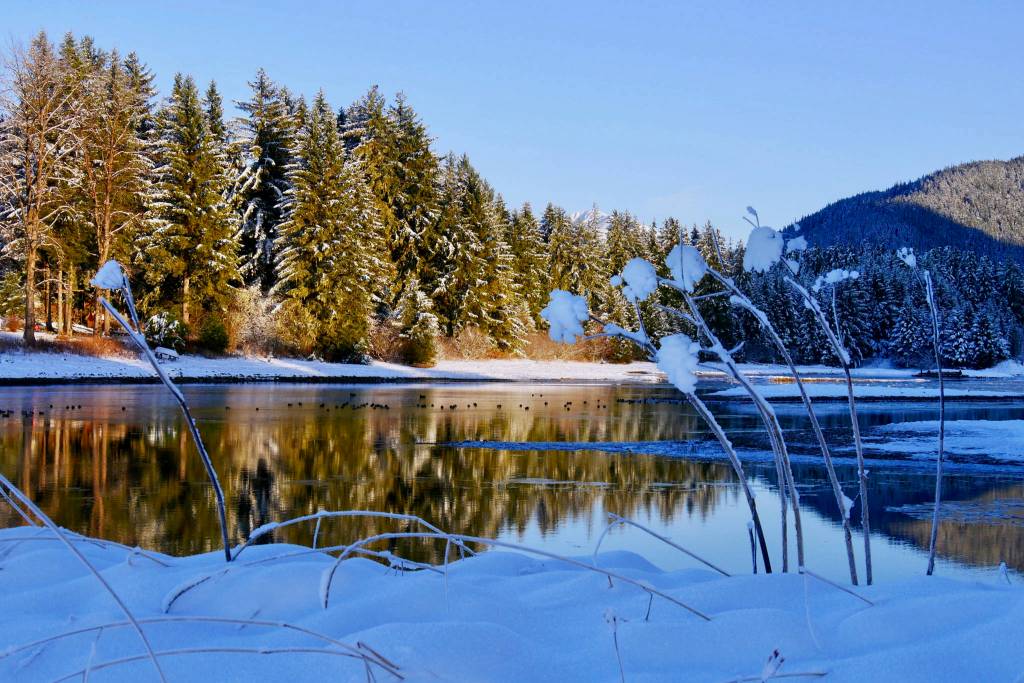 A view from Fish Creek on Feb. 16, 2019. (Courtesy Photo | Janine Reep)