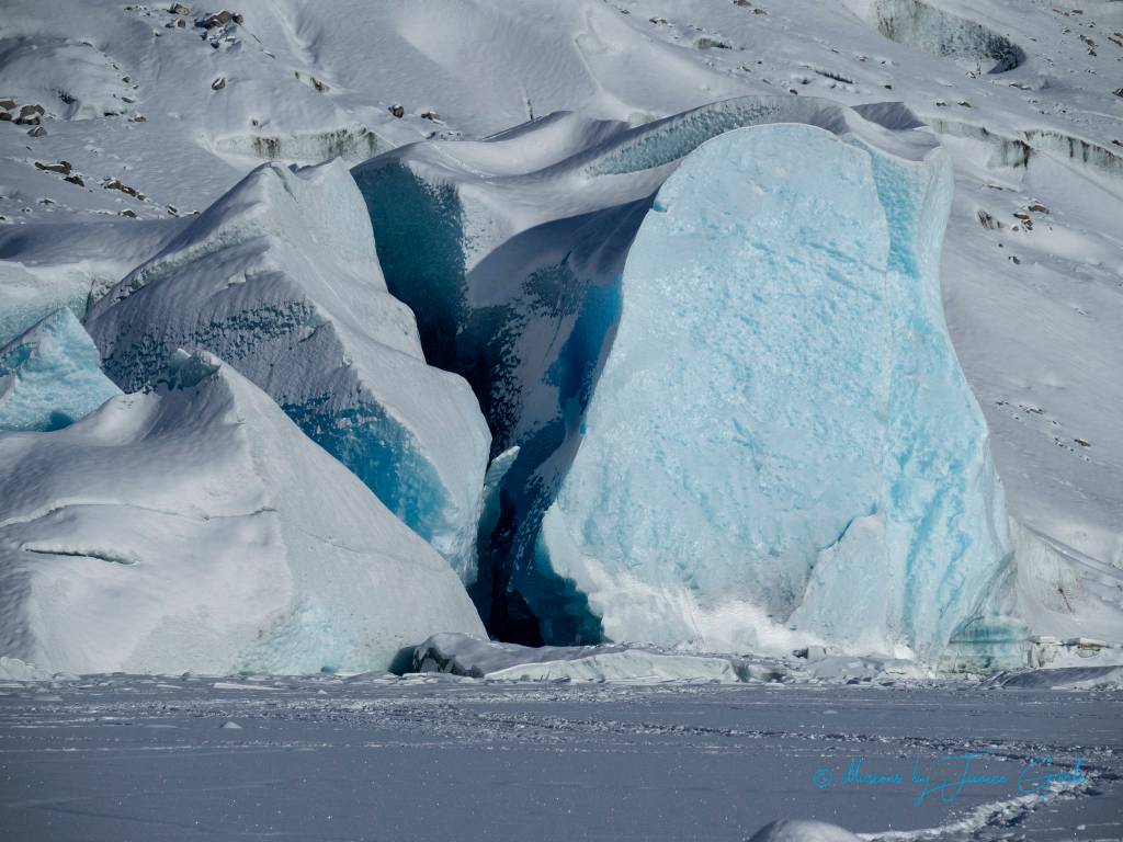 The face of the Mendenhall Glacier on Feb. 11, 2019. (Courtesy Photo | Janice Gorle)