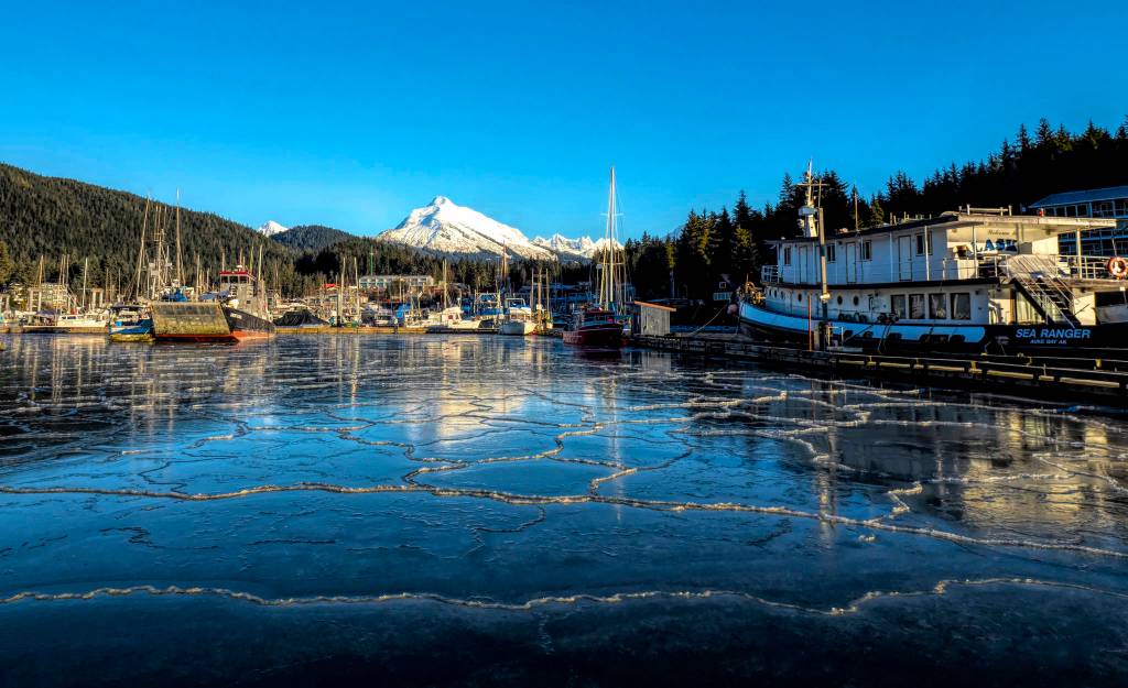Frozen in Auke Bay on Feb. 3, 2019. (Courtesy Photo | Janice Gorle)