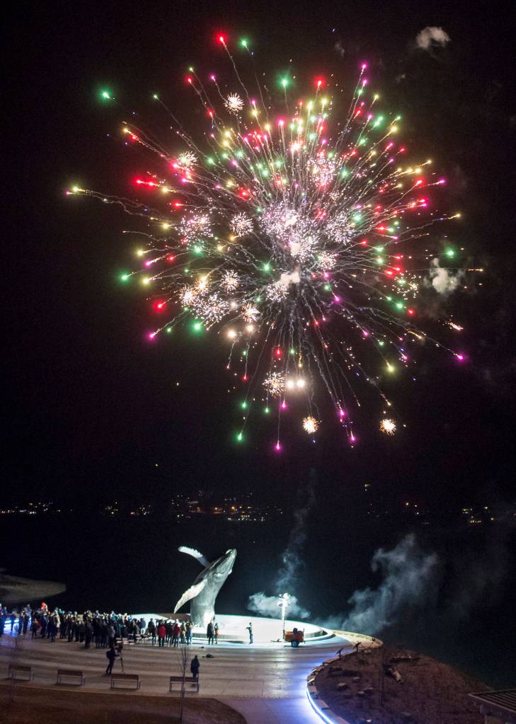 Fireworks are set off as hundreds of Juneau residents attend a candlelight vigil at Mayor Bill Overstreet Park on Friday, Feb. 1, 2019, in 8-degree weather for the Guardian medical flight crew that went missing this week. (Michael Penn | Juneau Empire)