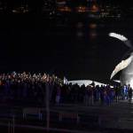 Hundreds of Juneau residents turnout Friday, Feb. 1, 2019, in 8-degree weather for a candlelight vigil at Mayor Bill Overstreet Park for the Guardian medical flight crew that went missing this week. (Michael Penn | Juneau Empire)