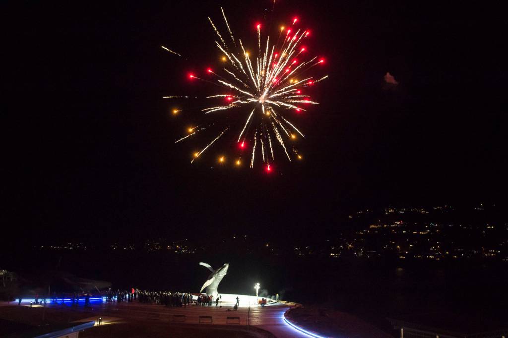 Fireworks are set off as hundreds of Juneau residents attend a candlelight vigil at Mayor Bill Overstreet Park on Friday, Feb. 1, 2019, in 8-degree weather for the Guardian medical flight crew that went missing this week. (Michael Penn | Juneau Empire)
