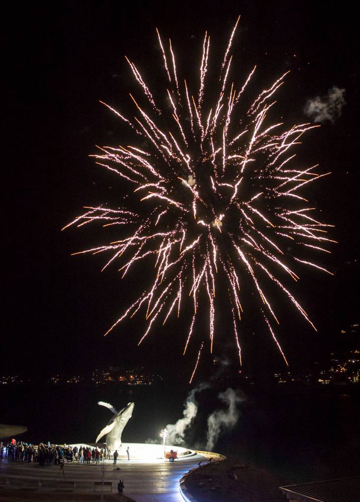 Fireworks are set off as hundreds of Juneau residents attend a candlelight vigil at Mayor Bill Overstreet Park on Friday, Feb. 1, 2019, in 8-degree weather for the Guardian medical flight crew that went missing this week. (Michael Penn | Juneau Empire)
