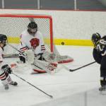 Photos: State hockey tournament