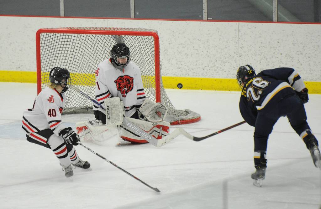 Photos: State hockey tournament